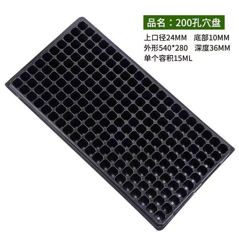 200孔育苗穴盘