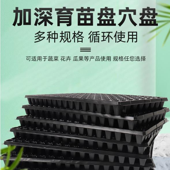 加深育苗盘穴盘